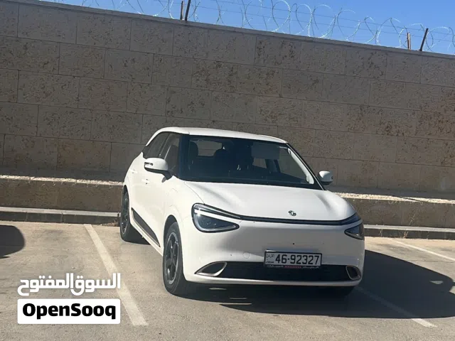 2023 دونج فينج نامي بوكس