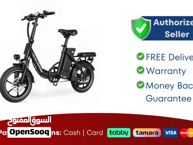 Wind Horse W2 B Electric Bike