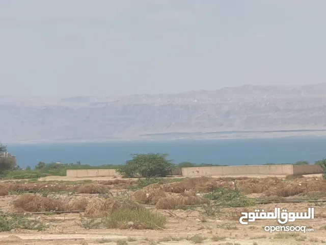 Residential Land for Sale in Jordan Valley Dead Sea