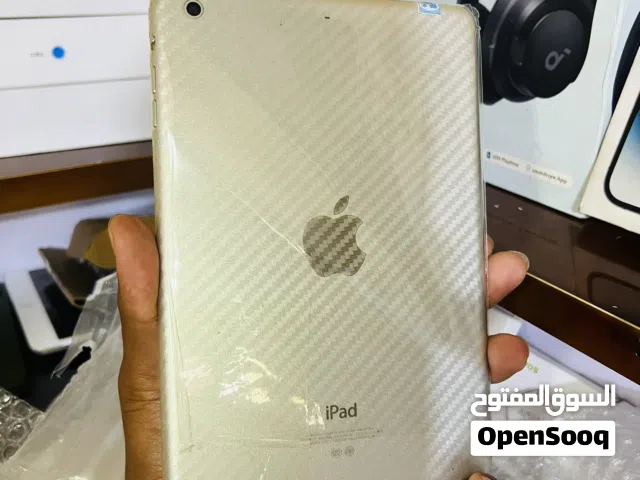 iPad mini 2