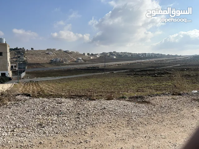 Residential Land for Sale in Irbid Al Mazar Al-Shamali