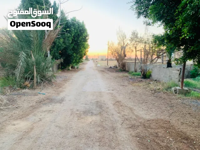 Farm Land for Sale in Giza Sheikh Zayed