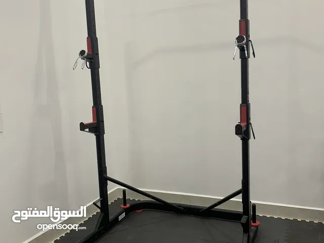 Squat and bench press weight rack