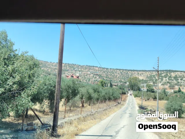Farm Land for Sale in Zarqa Birayn