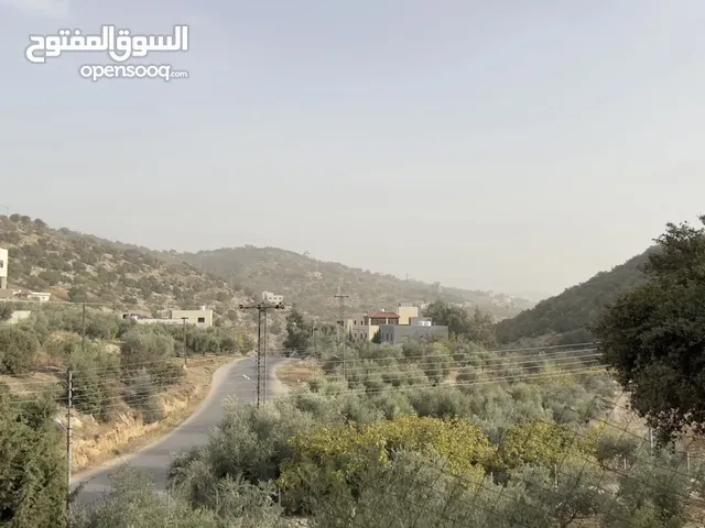 Residential Land for Sale in Madaba Juraynah