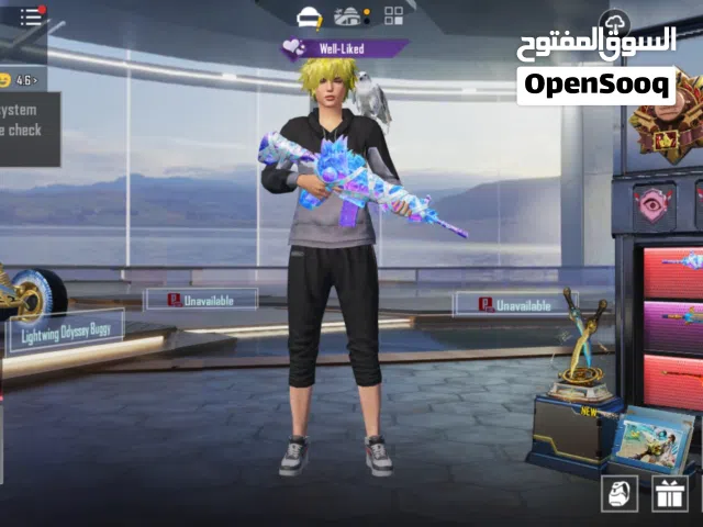 Pubg Accounts and Characters for Sale in Basra