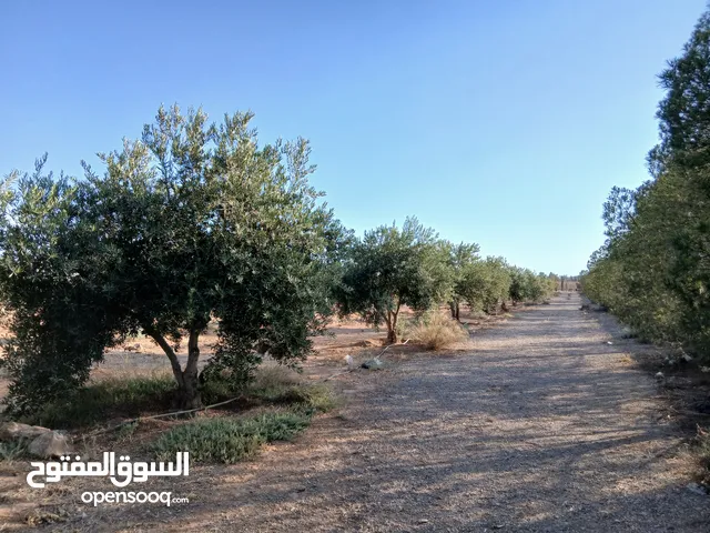 مزرعة للبيع ريف دمشق