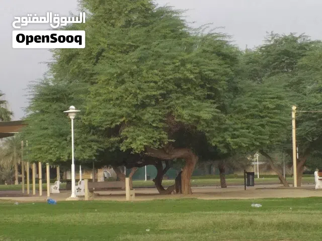 60 m2 1 Bedroom Apartments for Rent in Al Jahra Jahra