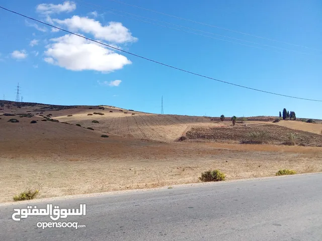 Farm Land for Sale in Tétouan Other