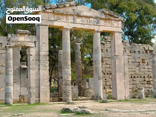 ابحث عن محل او مكتب في طريق فرعي (في زنقة)