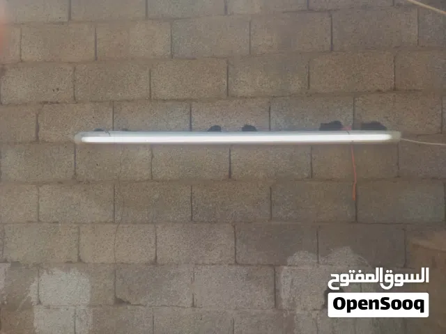 لنبات فيونست