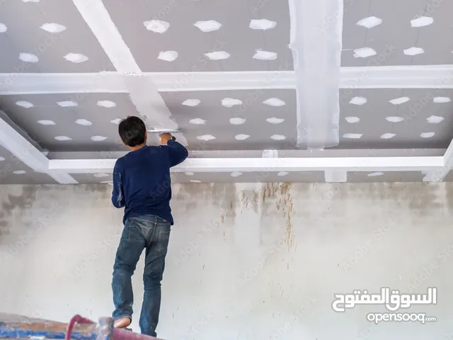 gypsum and paint work