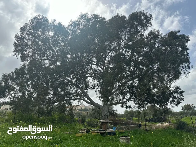 ارض جبلية مميزه للبيع
