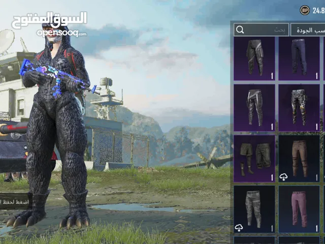 Pubg Accounts and Characters for Sale in Irbid