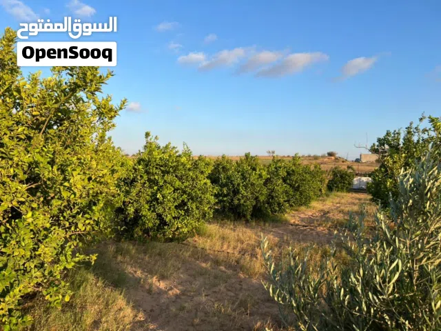 More than 6 bedrooms Farms for Sale in Ajaylat Other