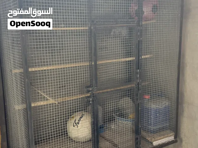قفص حديد للبيع