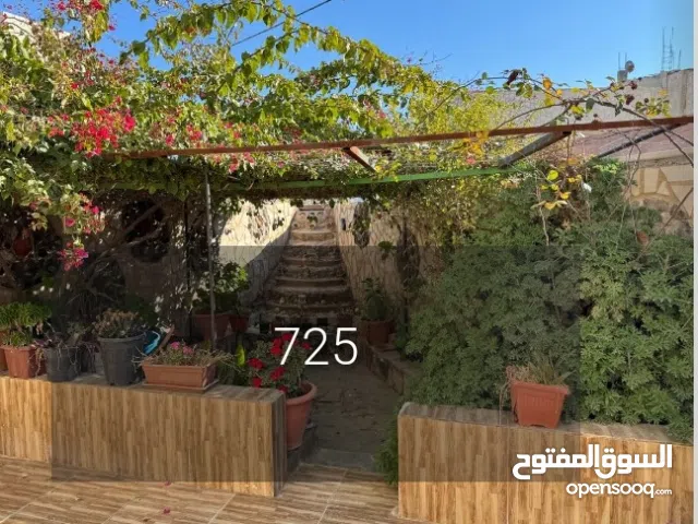 برسيم للبيع نخب اول