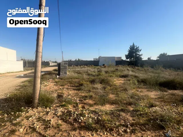 ارض 2000 متر للبيع