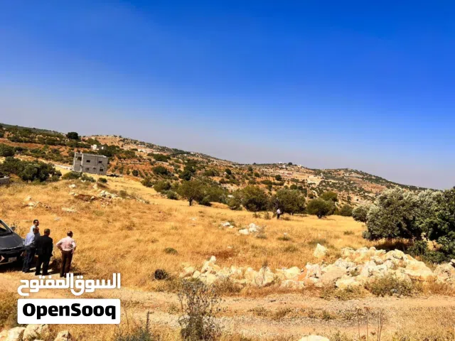 Farm Land for Sale in Ajloun Sakhra