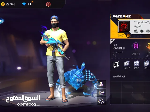 Free Fire Accounts and Characters for Sale in Al Dakhiliya