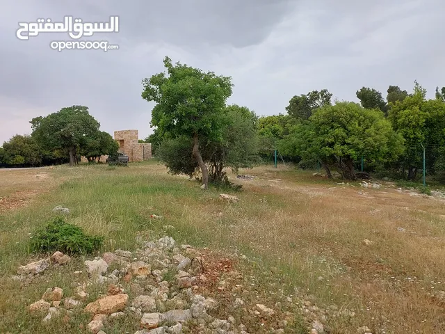 Farm Land for Sale in Jerash Soof