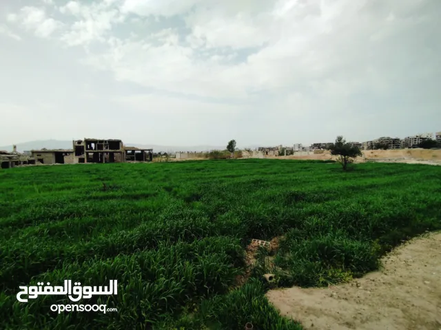 Farm Land for Sale in Rif Dimashq Ein Tarma