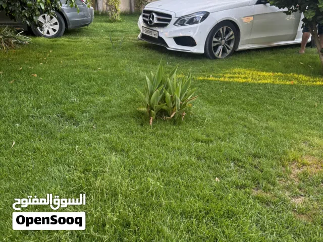 مرسيدس E350 2015