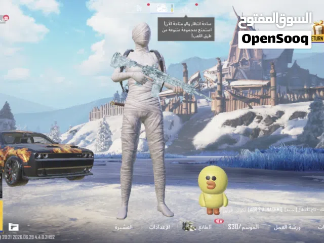 حساب ببجي نادر
