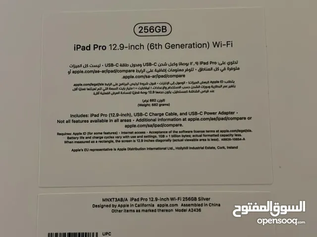 iPad Pro 12.9 6th Gen 256 GB