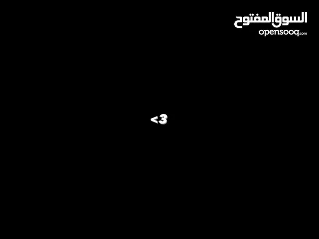 مطلوب شبل اسد في عدن