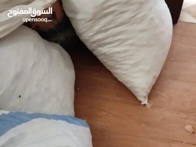 نفيعه للبيع بسعر رخيص