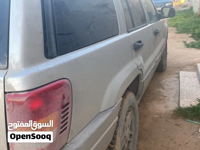 2004 جيب اخرى