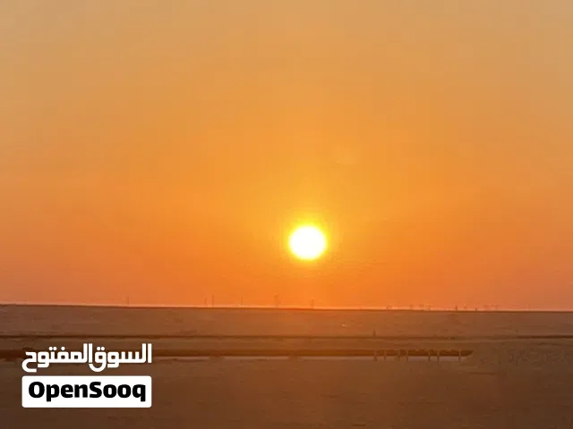 ماذونيات جاهزه