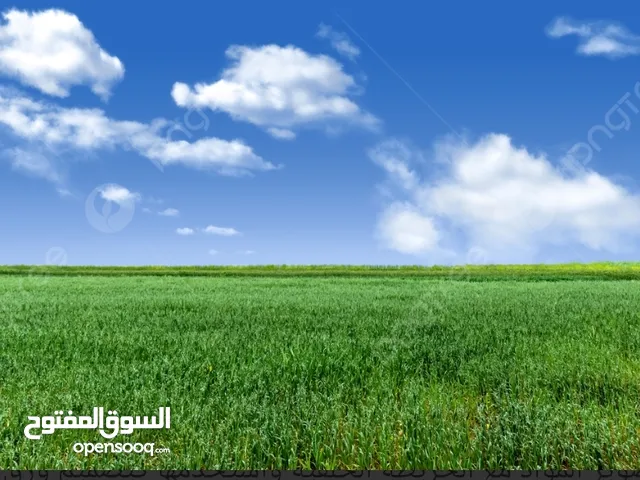 ارض بسعر مغري. لقطة لقطة