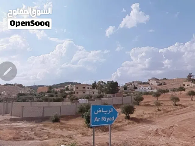 Residential Land for Sale in Zarqa Birayn