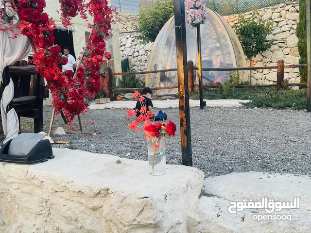 بيان اسحق احمد المحتسب