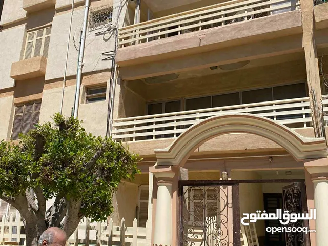 شقة مفروشة للايجار في المعمورة الشاطىء