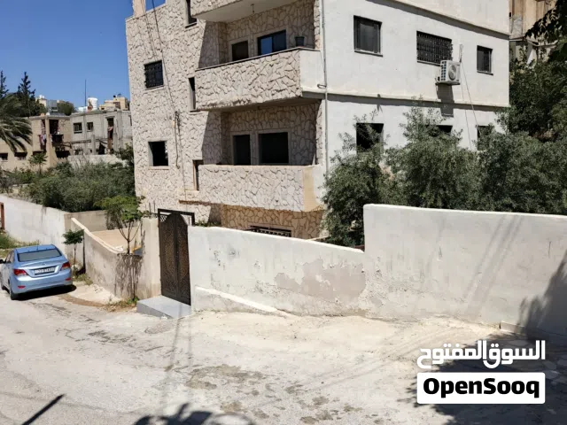 قرب مسجد العز بن عبد السلام  أسواق اهل العز _طريق الجنينة  شقة للايجار _للعرسان يفضل موظف او عسكري