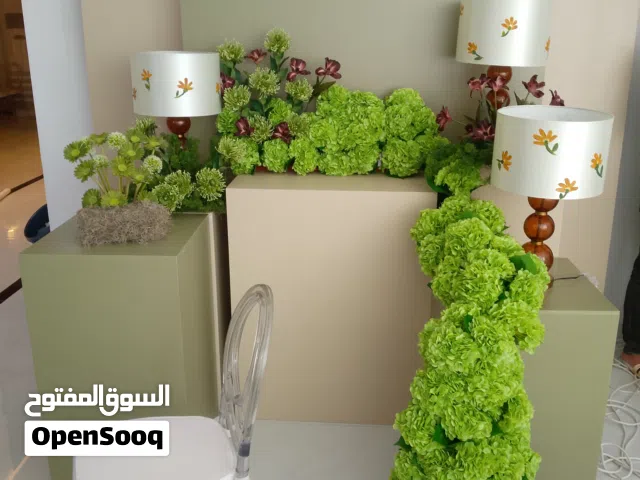 مخزن سرداب بالفروانيه
