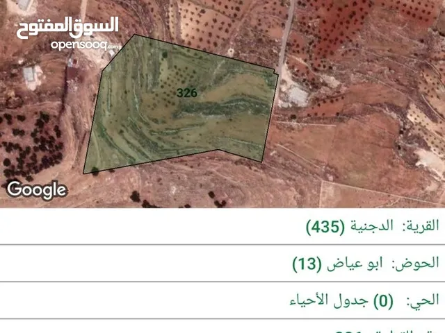 ارض في المفرق الدجنيه (مشيرفه) للبيع