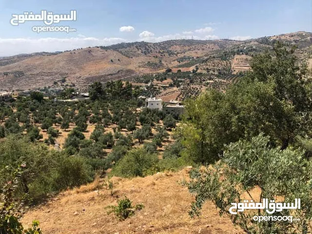 Mixed Use Land for Sale in Amman Abu Al-Sous