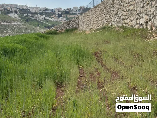 Mixed Use Land for Sale in Salt Al Saro