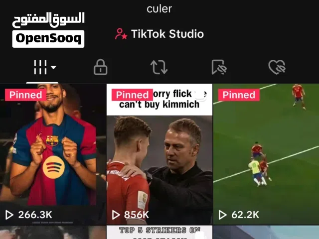 Social Media Accounts and Characters for Sale in Giza