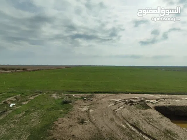 5 Bedrooms Farms for Sale in Baghdad Taji