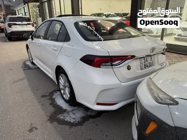 Used Toyota Corolla in Basra