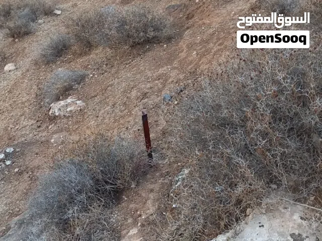 Farm Land for Sale in Salt Jala'd
