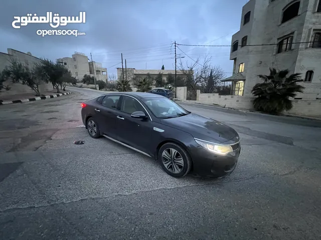 Used Kia Optima in Amman