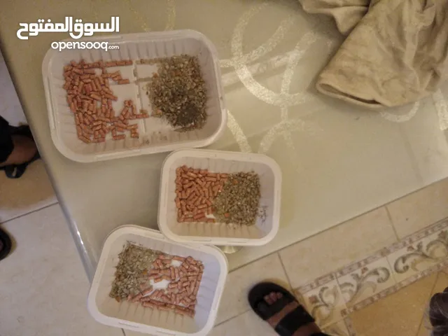 شركة مكافحة الحشرات بمكة مكافحة الصراصير والبق بمكه