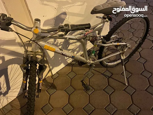 Mountain bike