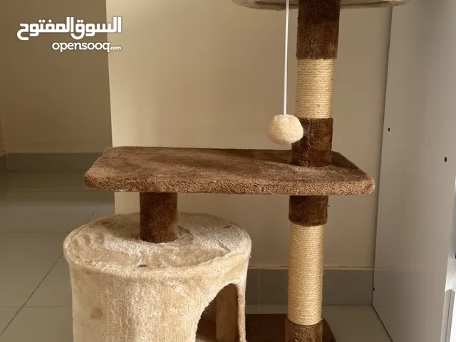 بيت او منزل للقطط cat house (متوفر توصيل لكل المناطق)